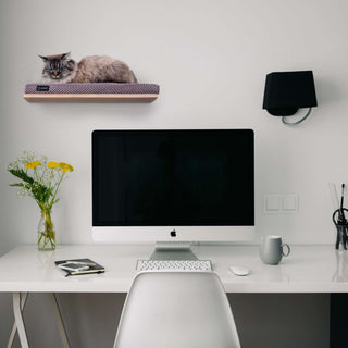 The CHILL Cat Shelf Perch by Cosy & Dozy – Maple Wood (Multiple Cushion Colours Available)