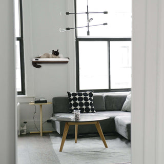 The CHILL Cat Shelf Perch by Cosy & Dozy – Wenge (Multiple Cushion Colours Available)